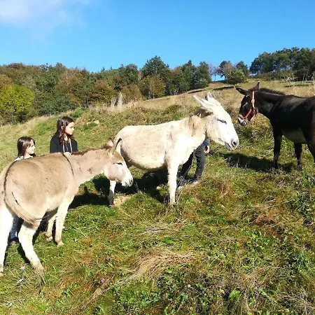 Les Des Pics Horská chata
